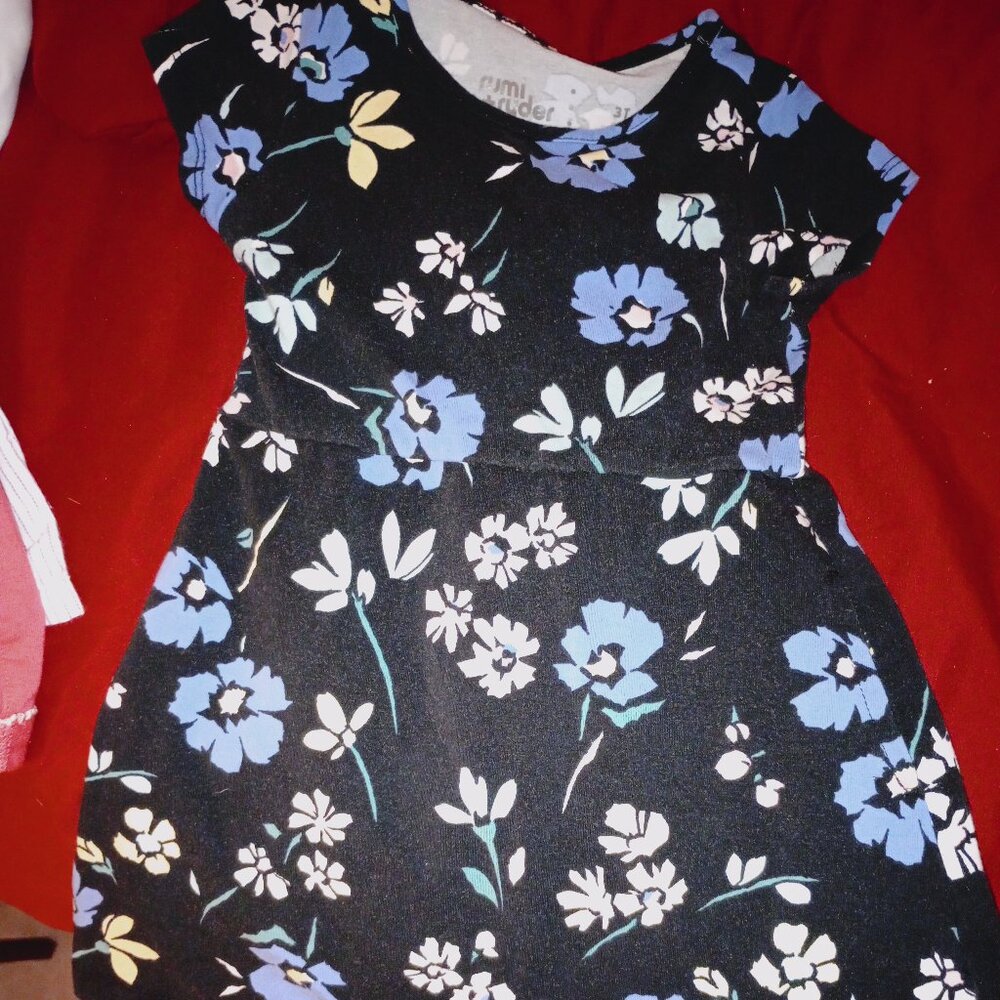 Rumi & Ryder dress